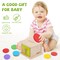 Adena Montessori Coin Box,Object Permanence Box Toys for 1 Year Old Baby Coins,Wooden Montessori Ball Drop Toys Developmental Toys for 6-12 Month Infant Toys,Learning Kids Gifts(Yellow-Green Door)